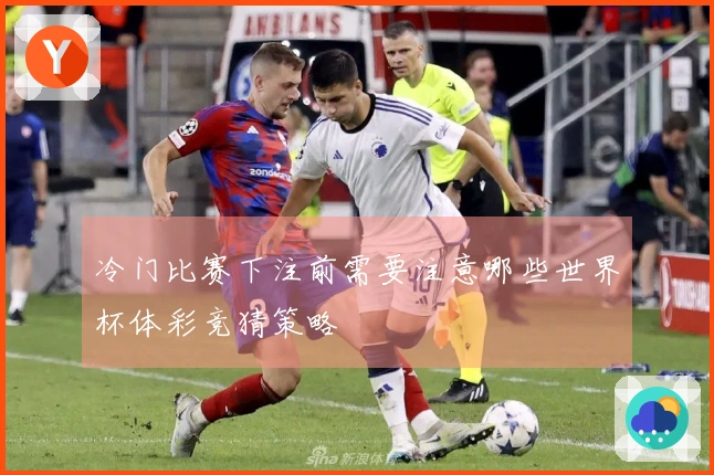 冷门比赛下注前需要注意哪些世界杯体彩竞猜策略体育资讯
