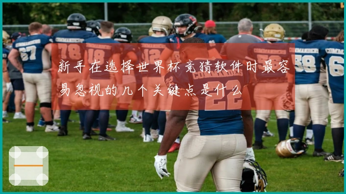 新手在选择世界杯竞猜软件时最容易忽视的几个关键点是什么