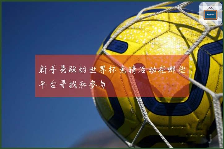 新手易踩的世界杯竞猜活动在哪些平台寻找和参与